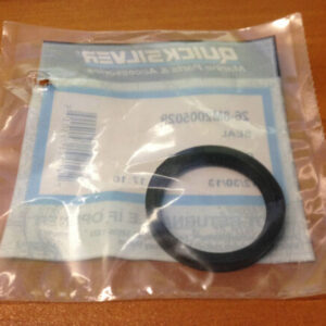 QUICKSILVER Paraolio 26-8M2005029